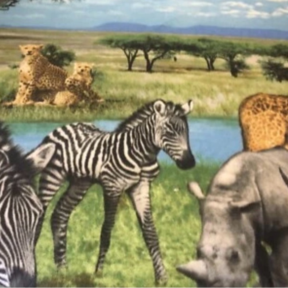 Zoo Animals ~ Throw ~ Zebra ~ Giraffe ~ Beautiful  ~ Throw  ~ Blanket